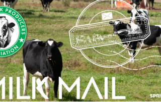 Spring 2020 Milk Mail