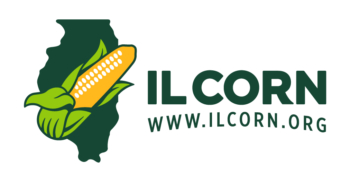 Illinois Corn 